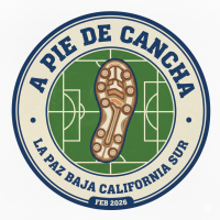 avilesapiedecancha.milaulas.com